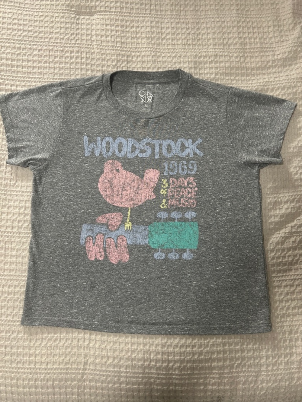 Chaser Gray Woodstock Graphic Tee with Pastel Prints
